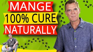 How To Treat Mange In Dogs Naturally (100% Effective Home Remedy)