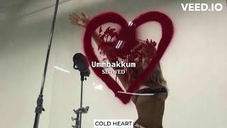 Download lagu Ummbakkum (slowed) | Iulia Vantur, Jaspreet Jasz, Mika Singh | COLD HEART mp3
