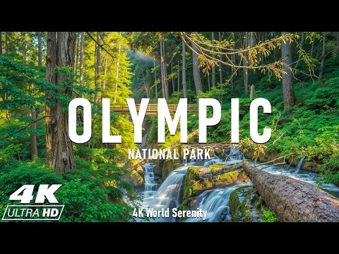 Olympic National Park 4K – From Hoh Rainforest to Hurricane Ridge: Nature’s Drama in Every Frame
