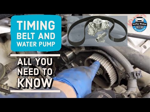Toyota Sienna 3.3 Liter Timing Belt and Water Pump Replacement | Toyota sienna automobile model 2004