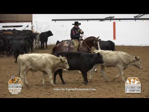 Brother Jackson ridden by Ken L. Wold  - 2016 NRCHA Celebration of Champions (Herd Work - WGH)