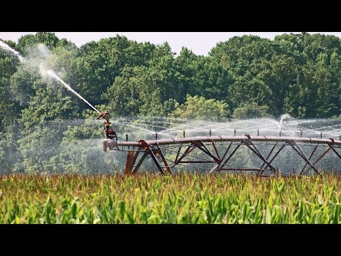 Znanjem do prinosa ep. 23 22.07.2021. Navodnjavanje