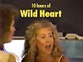 10 hours of Stevie Nicks - Wild Heart