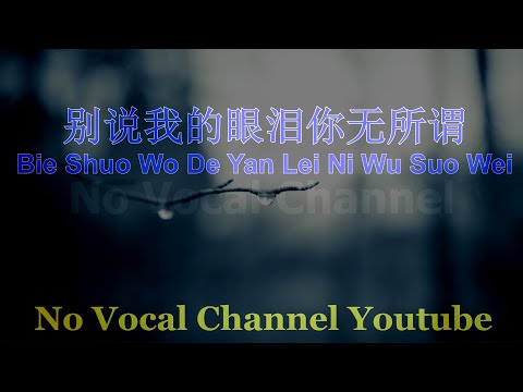 Bie Shuo Wo De Yan Lei Ni Wu Suo Wei ( 别说我的眼泪你无所谓 ) Male Karaoke Mandarin - No Vocal