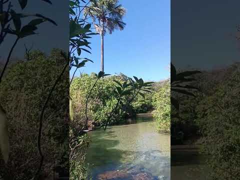 Praia no Tocantins? Simm! Conheça praia do Pequizeiro nas Serras gerais - Tocantins