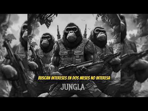 Basek - “Jungla” Ft C.Terrible ,  Babi Blackbull & DJ Nozh (Beat x C.Pradoo)