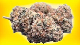 Wedding Frost Marijuana Monday