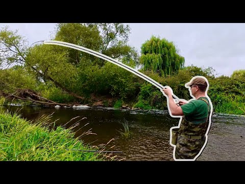 River Avon Barbel Fishing on the Float..!