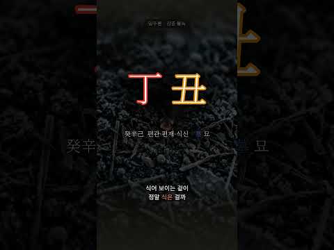 언 땅에 묻힌 불씨 | 정축(丁丑) 일주