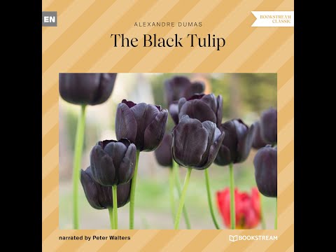 The Black Tulip – Alexandre Dumas (Full Classic Novel Audiobook)