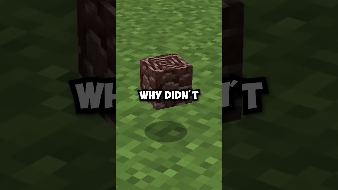 Mojang Forgot About Ancient Debris