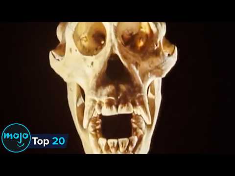 Top 20 Most Controversial Discoveries In History