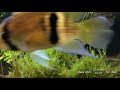 Jörg Andreas hat ein neues Video zu seinem Beispiel Becken 36151 hochgeladen.