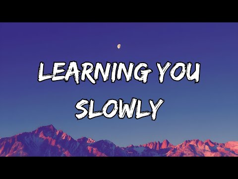 🌙 Lines & Silence