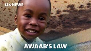 Damp and mouldy homes still an issue as Awaab's Law comes in