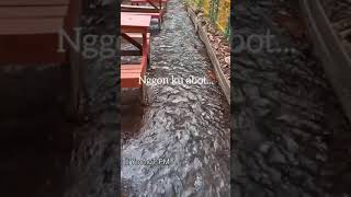 Download lagu story wa terbaru bahasa jawa ||kata kata || sindiran ||  #shorts mp3