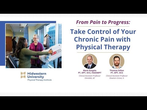 The Physical Therapy Process: From Pain to Performance | Vibepedia