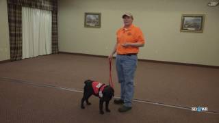 SDWR Training Name Recognition