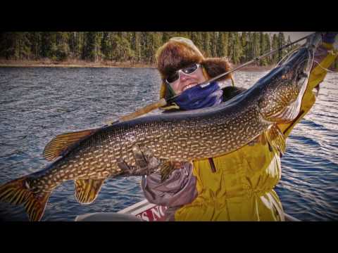 Big Pike of Brace Lake | Ontario - YouTube