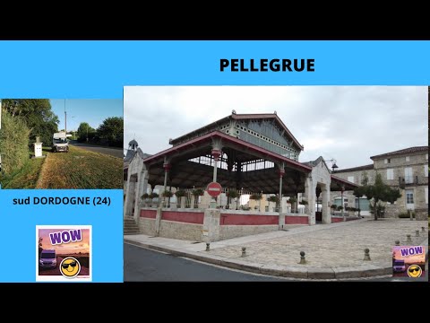 #PELLEGRUE , en #fourgon aménagé