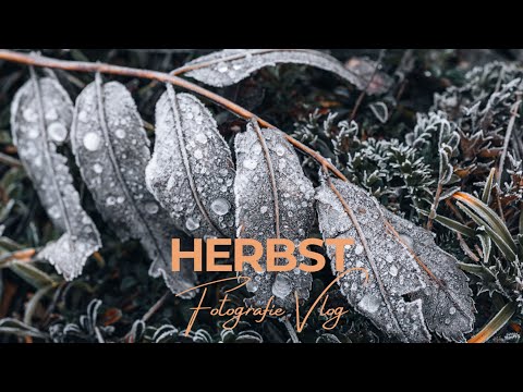 Die Magie des Herbstes | Wander-Vlog 📸