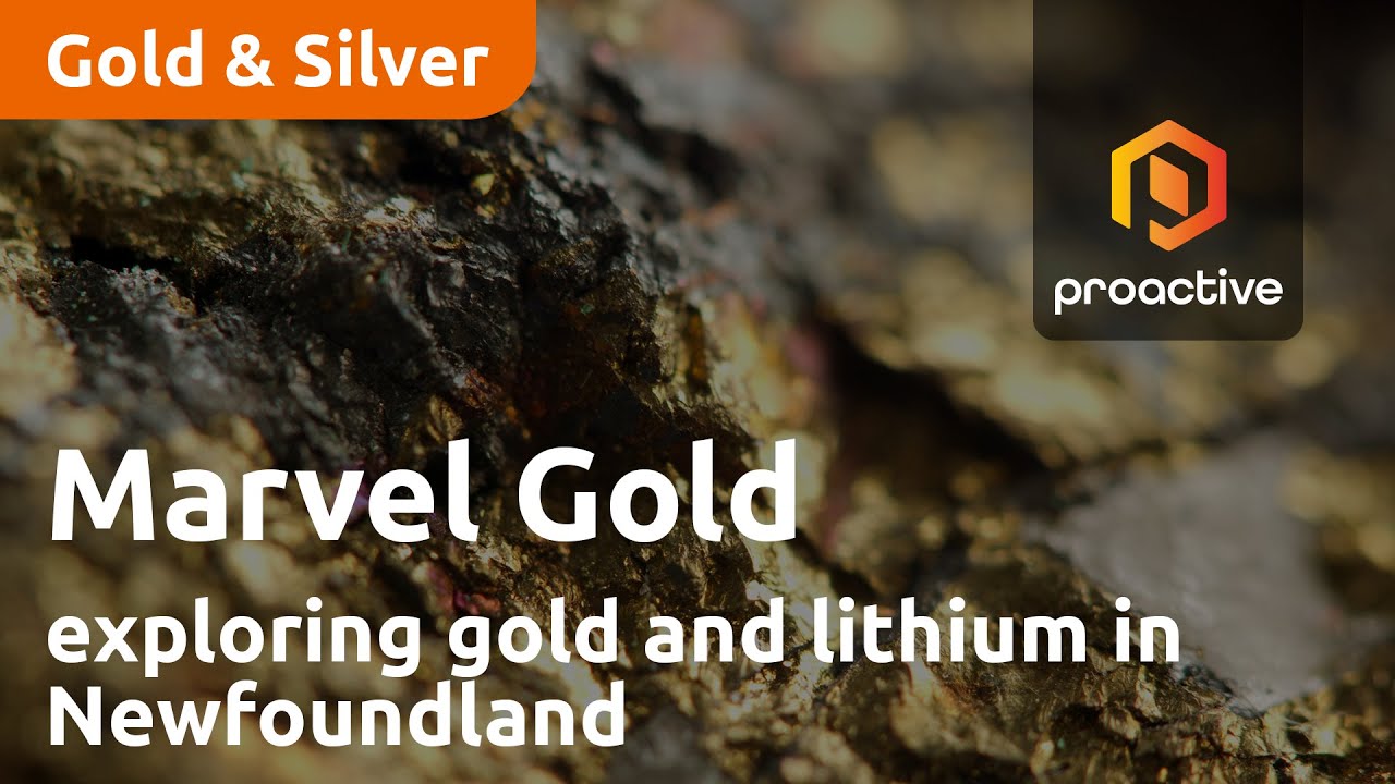 Exploring Gold and Lithium in Newfoundland: CEO Karim Rayani Shares Alliance strategy