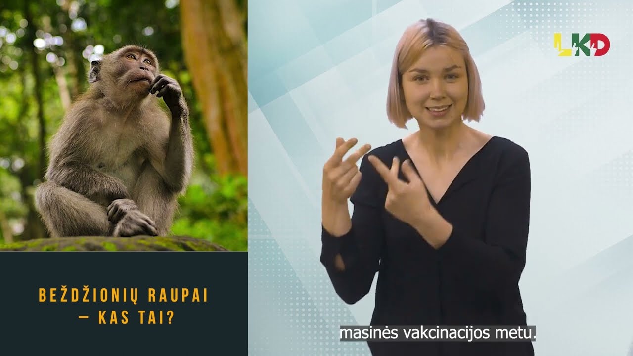 Pasaulyje plinta beždžionių raupai: ką verta žinoti?