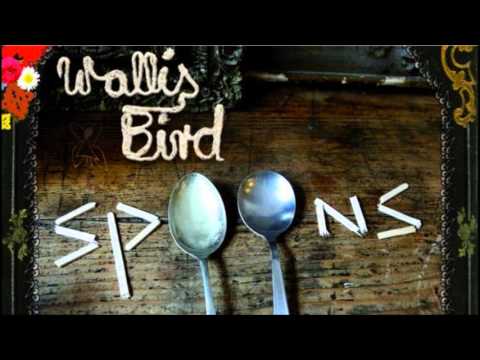 Moodsets - Wallis Bird