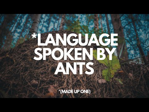 Ant (ConJam Conlang Showcase)