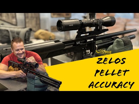 The Budget Friendly COMPETITION AIRGUN?! Umarex Zelos .22 Cal PART 1: PELLET TEST