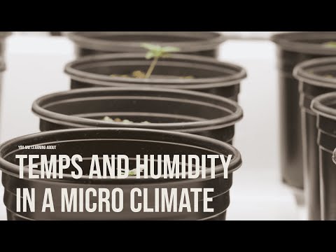 Organic Indoor Grow - Temps and Humidity in a Micro Climate (10/25)
