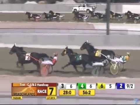 Feb. 7, 2014 -- Meadowlands Racetrack