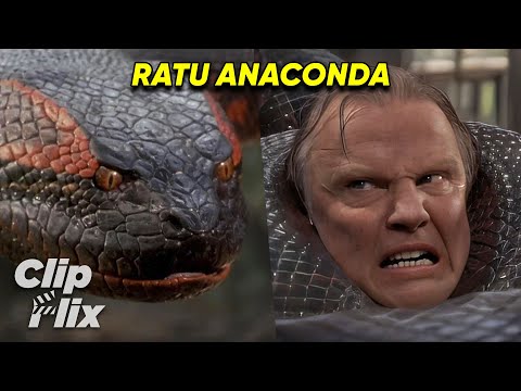 Anaconda (3/3) | Bertemu Ratu Anaconda | Jennifer Lopez, Ice Cube, Jon Voight | ClipFlix