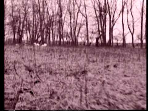 ŽAS - Norėjau Skristi [Official Video] / ZAS