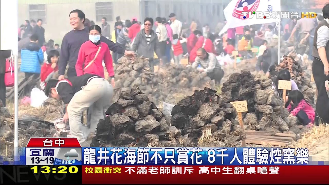 龍井花海節登場　30公頃花海彷彿置身國外