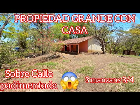 😱 WOOOW... MÁS DE 3 MANZANAS ✅  EN 📍 ESTANZUELAS