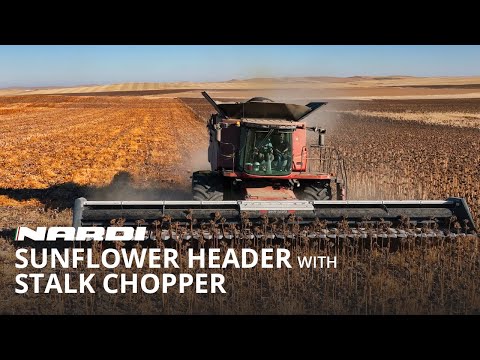 SUNFLOWER HARVESTING - Nardi 12mt/40ft header WITH STALK CHOPPER