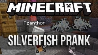 Minecraft: Silverfish Prank Gone Wrong!
