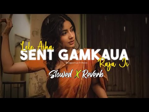 Lele Aiha Sent Gamkaua Raja Ji - Slowed and Reverb