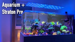 ATI Straton Pro - Die neue Meerwasseraquarium-LED
