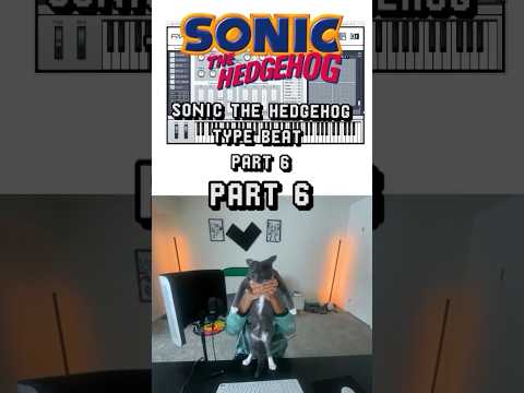 Sonic The Hedgehog Type Beat Part 6 #music #producergrind  #flstudio #producer #vgm #beats #sega