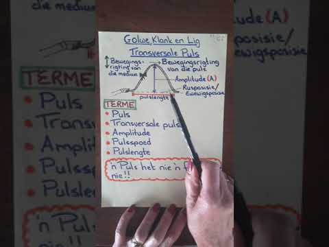 Gr.10 Transversale puls