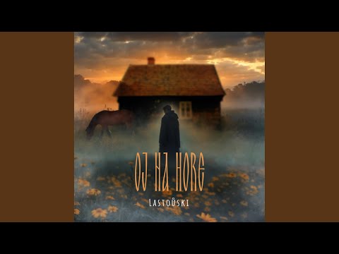 Realizacja MZx Studio