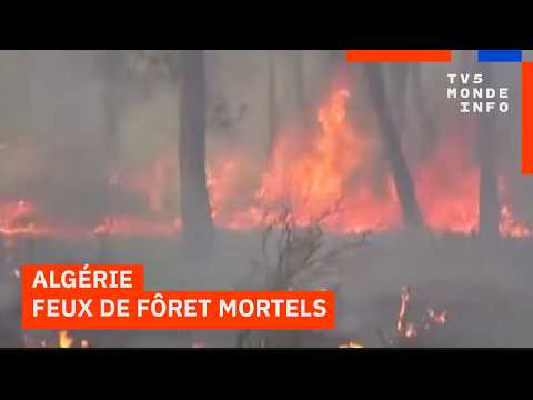 Algérie : au moins 6 morts dans des feux de forêt