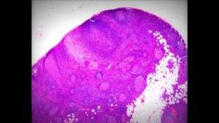 Perc - Son Of Grease (Original mix)