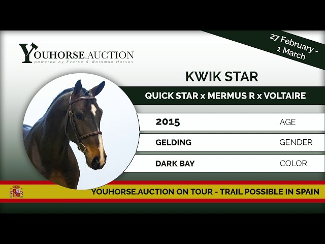 Kwik Star showing 6 years old Spain