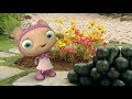 Waybuloo Season 2 Episode 10 De Li S Garden