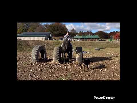 youtube preview