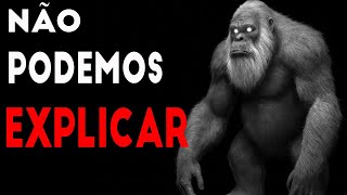 3 Metros e a Força de 20 Homens - O Primata Pré-Histórico que Te Causaria Calafrios