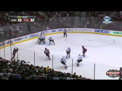 Anaheim Ducks at Phoenix Coyotes   01\11\2014